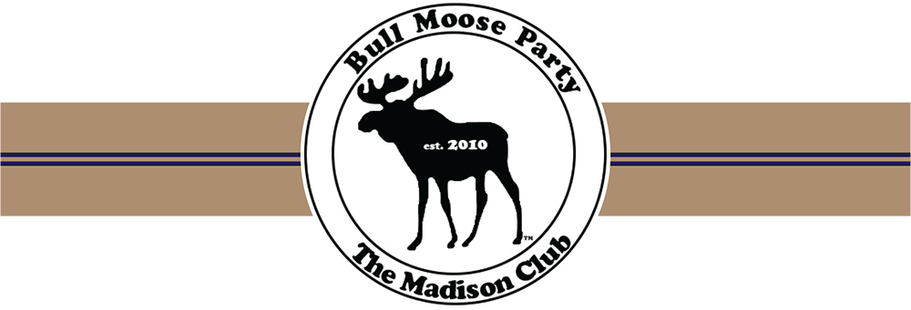 Bull Moose Party